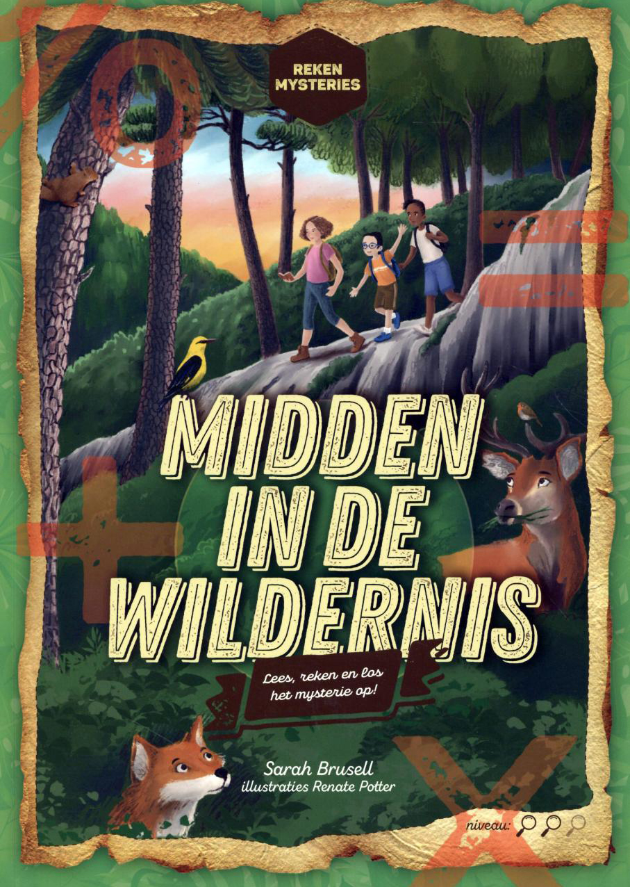 De Noorse schat - Rekenmysteries - Afbeelding 5