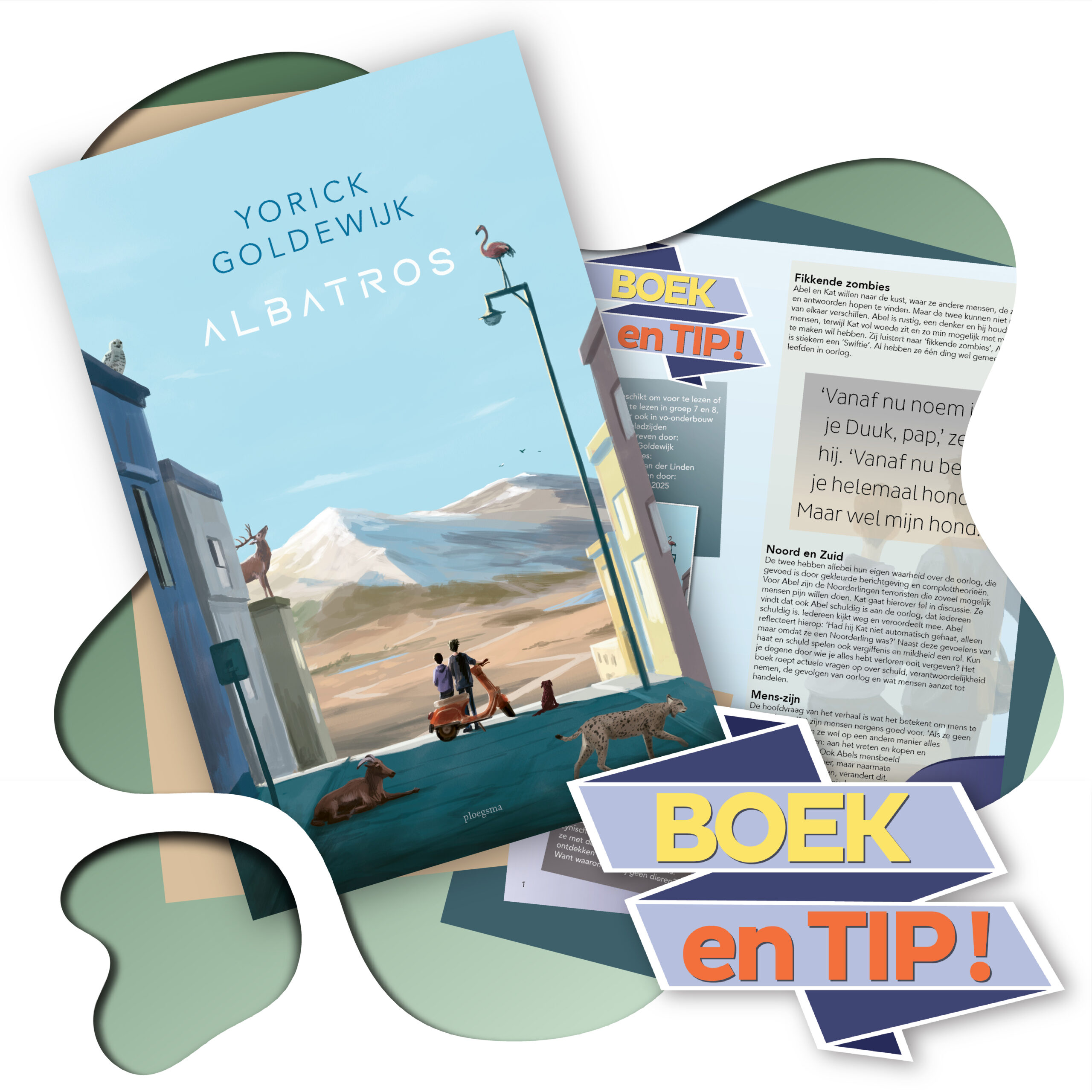 Albatros van Yorick Goldewijk